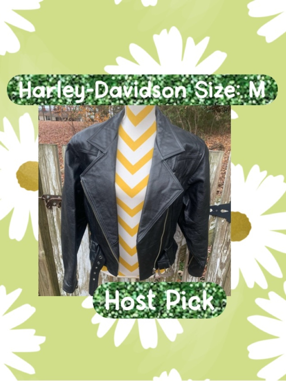 πHost Pick π Harley Davidson Leather motorcycle jacket - Picture 1 of 16